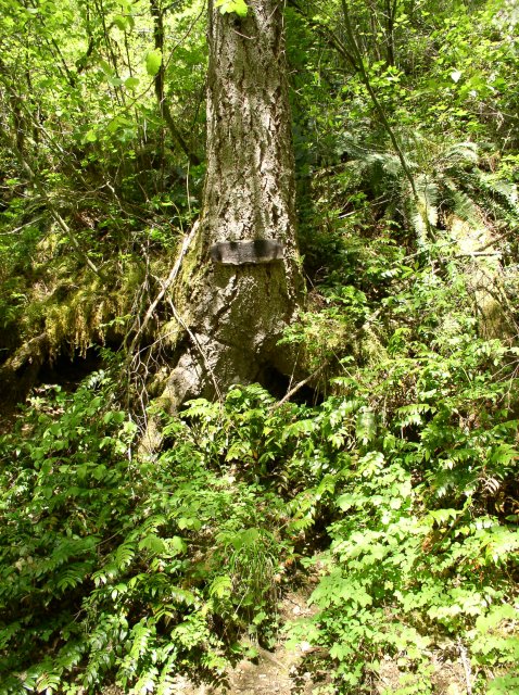 5.5.06 Eagle Creek 089 